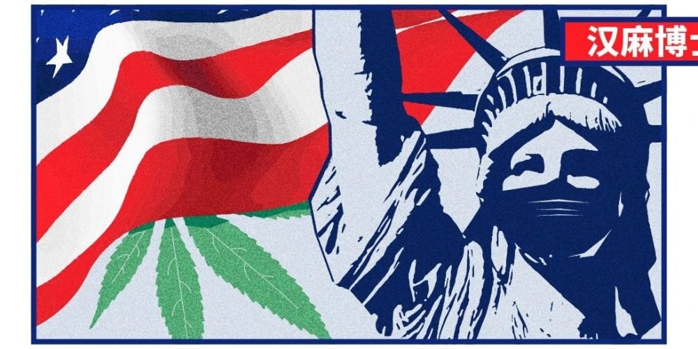 疫情之下如何看待美国大麻产业“逆生长”？