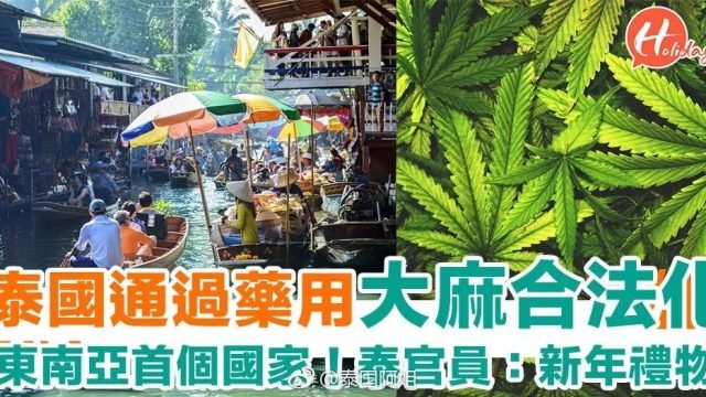 大麻被泰国政府视为植物黄金，全国都在“大麻商品化”