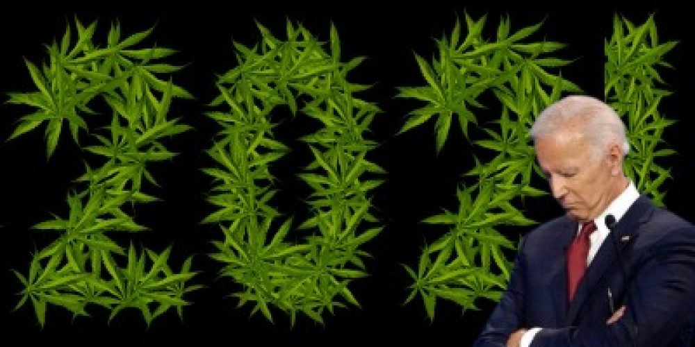 不要仅仅因为乔·拜登当选总统就指望在2021年实现大麻合法化