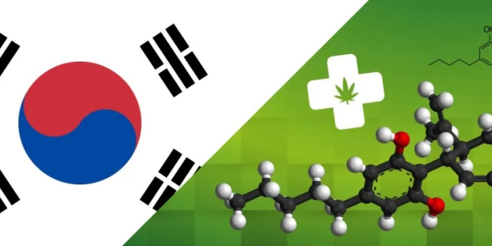 为发展工业大麻，韩国成立自由特区，又投资390亿韩元开发大麻CBD药物！
