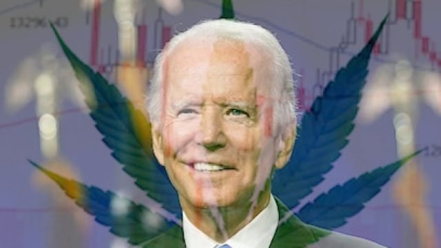 Cannabis stocks soar on Biden win, legalization hopes and solid results