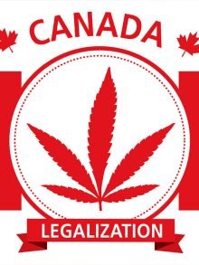 加拿大大麻合法化法规介绍