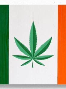 爱尔兰医用大麻合法了 保险还可以覆盖