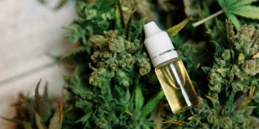 澳洲大麻公司 THC GLOBAL 获准在昆士兰生产药用大麻