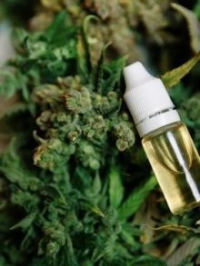 澳洲大麻公司 THC GLOBAL 获准在昆士兰生产药用大麻