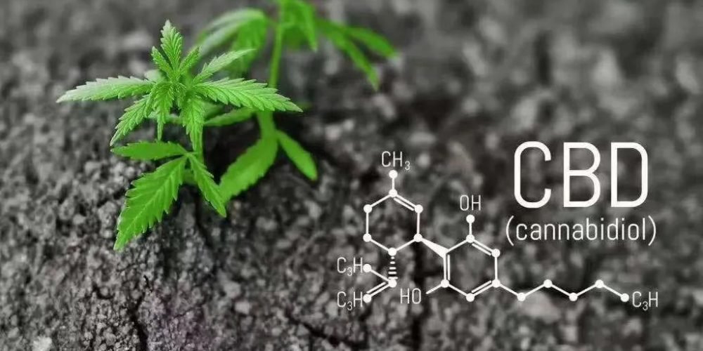 Cannabidiol (CBD) — what we know and what we don’t