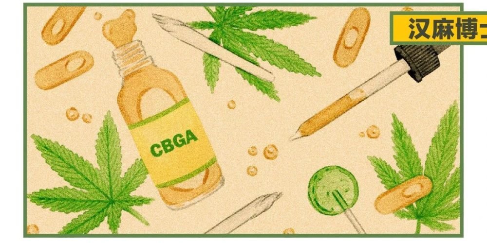 大麻素祖奶奶CBGA急急如律令！