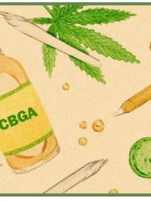 大麻素祖奶奶CBGA急急如律令！