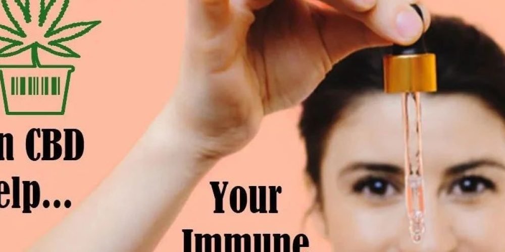 CBD能增强你的免疫系统吗_