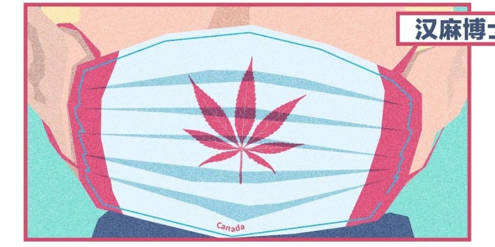 加拿大大麻市场碰上疫情，真急了！卖疯了！