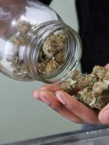 Survey: Canadians cite systemic barriers to legal medical cannabis