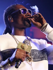 美国著名说唱歌手和大麻创业之星Snoop Dogg的最新头条