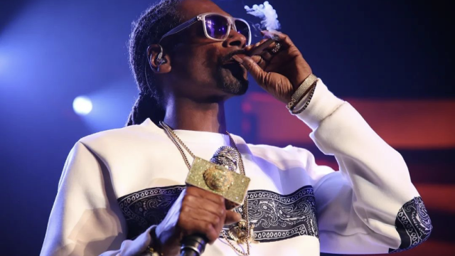 美国著名说唱歌手和大麻创业之星Snoop Dogg的最新头条