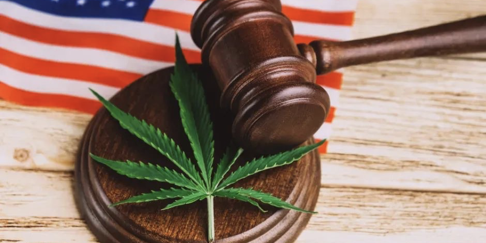 重磅！美国联邦大麻合法化法案将提交众议院投票，最快下周表决