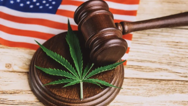 重磅！美国联邦大麻合法化法案将提交众议院投票，最快下周表决