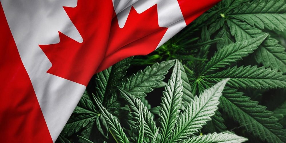 CANNABIS IN CANADA: TWO YEAR ANNIVERSARY OF LEGALIZATION