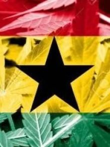 非洲大麻合法化趋势