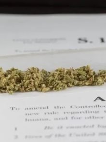 美国大麻合法化草案的六大要点梳理