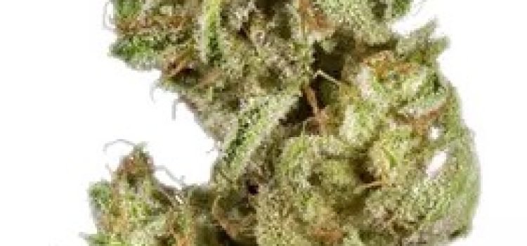 八一八（818 OG）