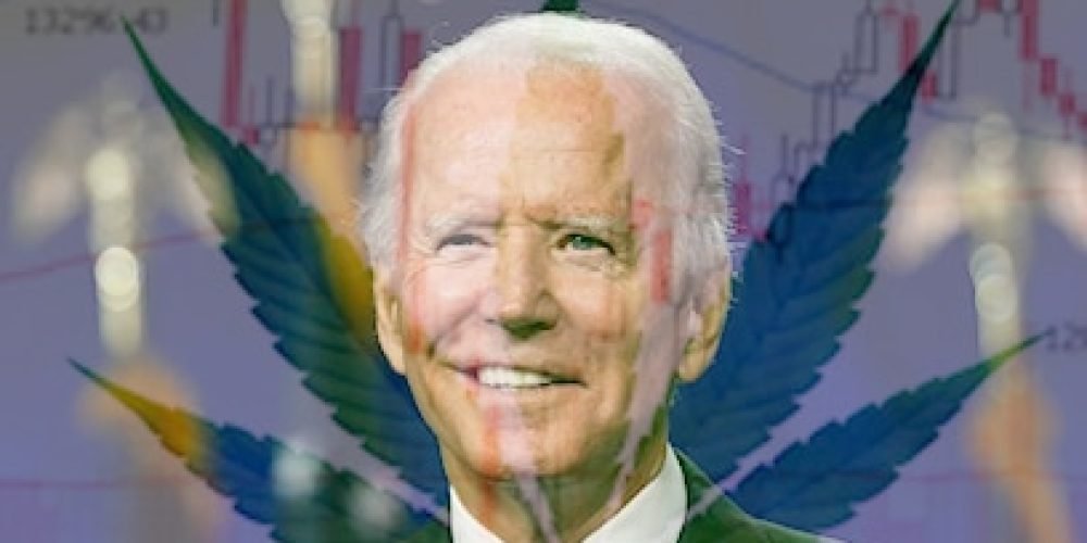 Cannabis stocks soar on Biden win, legalization hopes and solid results