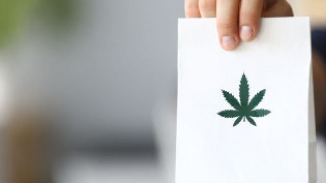 Microwave Drying Technology for Cannabis & Hemp