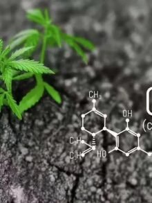 Cannabidiol (CBD) — what we know and what we don’t