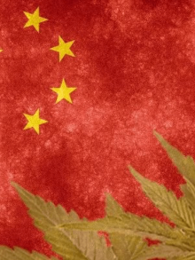 汉麻百科都在这儿了——大麻与中国