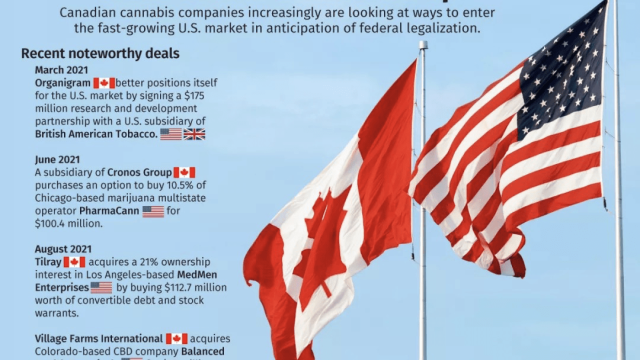 资本的豪赌,美国联邦大麻合法化会如约而至吗?