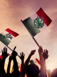 第三个大麻全面合法化的国家即将诞生-墨西哥