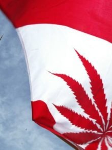 加拿大安大略（安省/Ontario） 大麻合法化法规介绍
