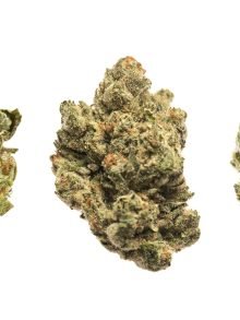 How to decide which strains to try