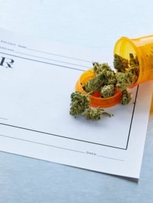 如何使用医用大麻处方?